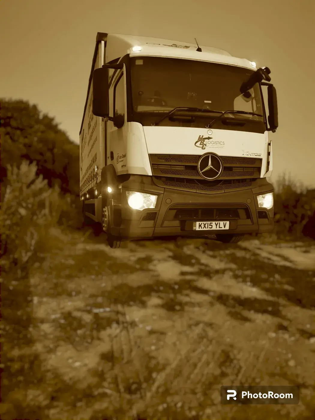 Wings Logistics fleet 30